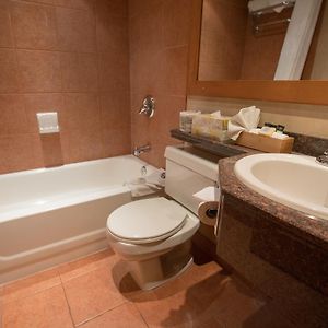 Deluxe Apartment mit 1 Schlafzimmer